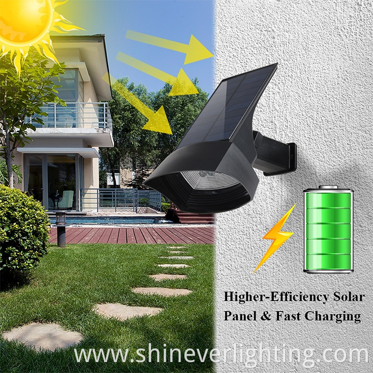 Induction Solar Wall Light